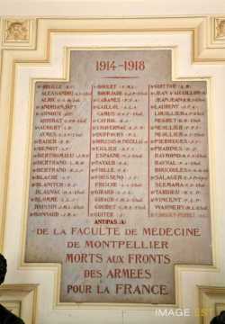 Plaque commémorative (Montpellier)